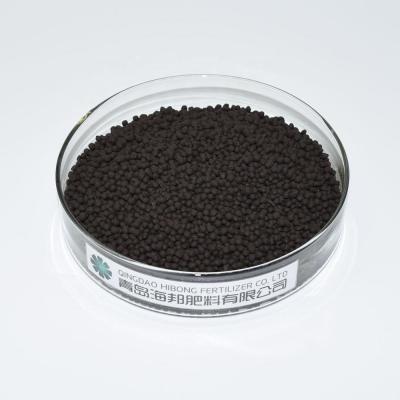 Factory Price Organic Humic Acid Fertilizer 5-2-1/2-2-2/8-0-0 Granular for Agriculture Plant